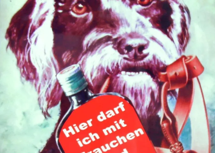 Vendégház Alter Ackerbuergerhof