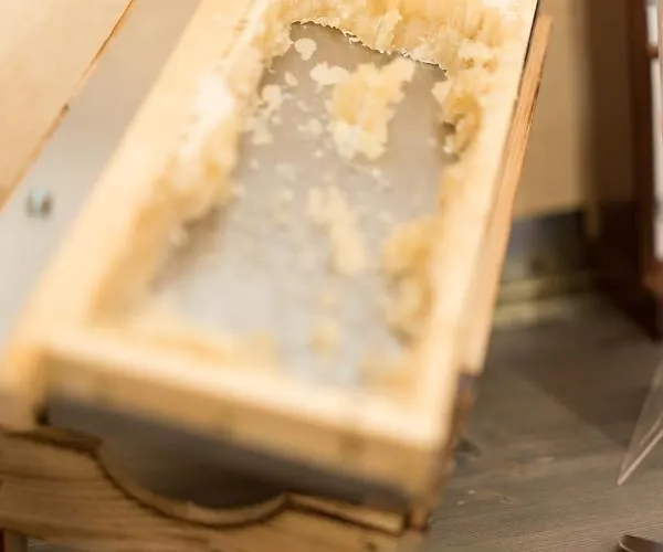 Alter Ackerbuergerhof Bad Frankenhausen